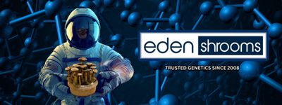 Eden Shrooms