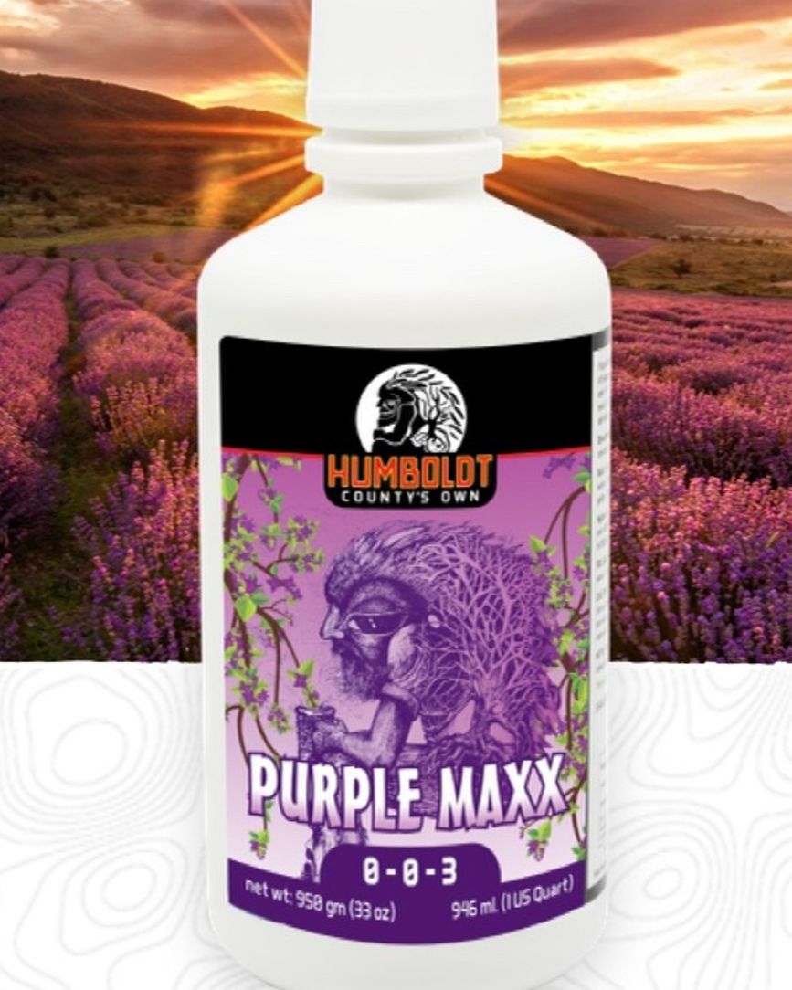 Humbolt County's Own Purple Max Humbolt County's Own Purple Max