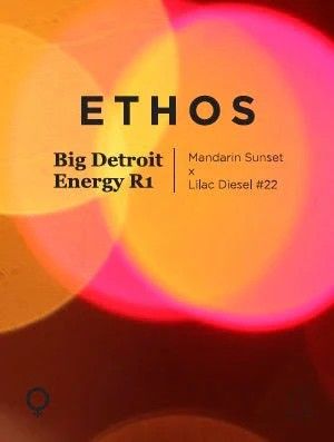 Big D Energy R1 5Pack