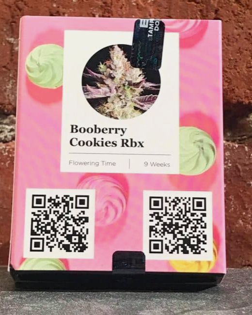BooBerry Cookies RBX 5Pack