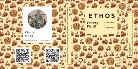 Cherry Pie OG S1 5 Pack Cherry Pie OG S1 5 Pack