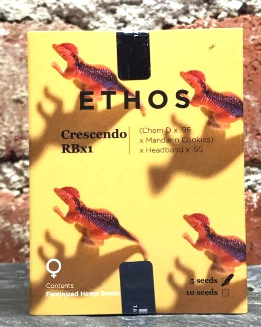 CrescendO RBx1 5Pack