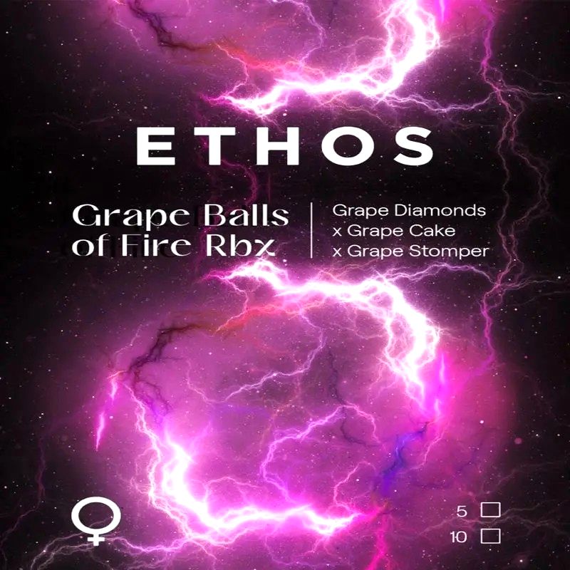 Grape Balls OF Fire RBX 5Pack