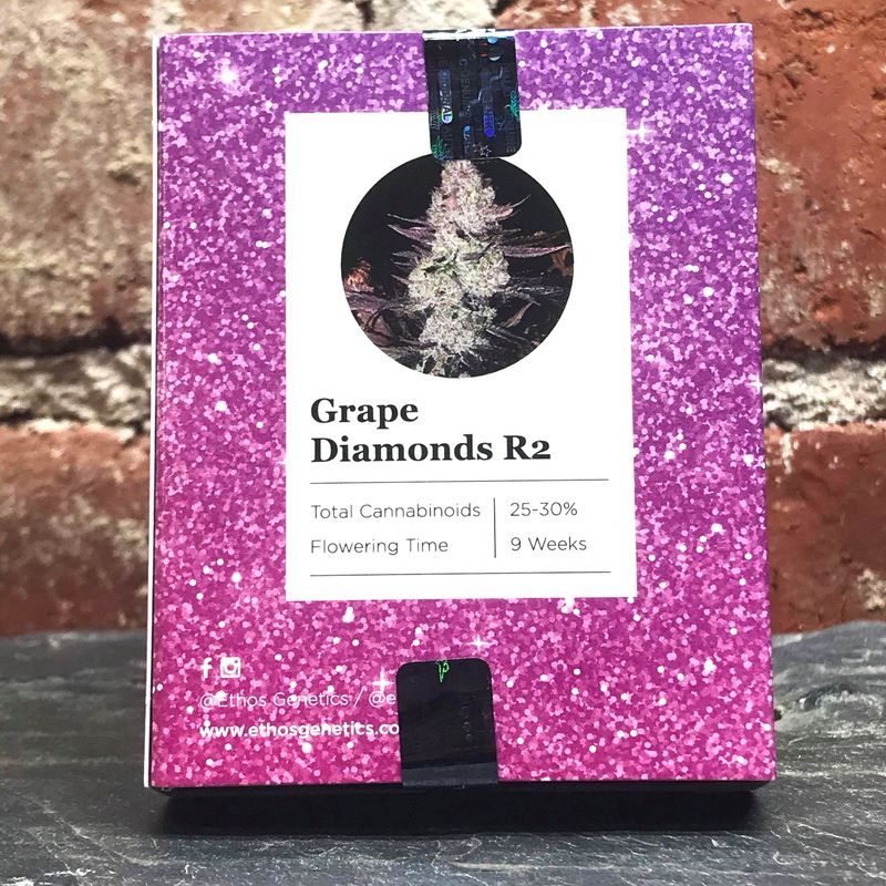 Grape Diamonds R2 5Pack