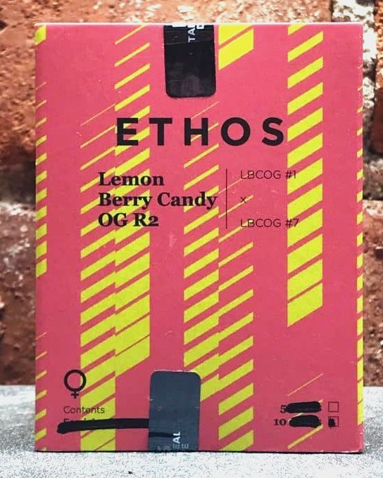 Lemon Berry Candy OG R2 5 Pack
