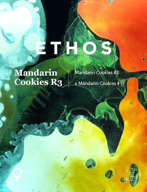 Mandarin Cookies R3 5Pack