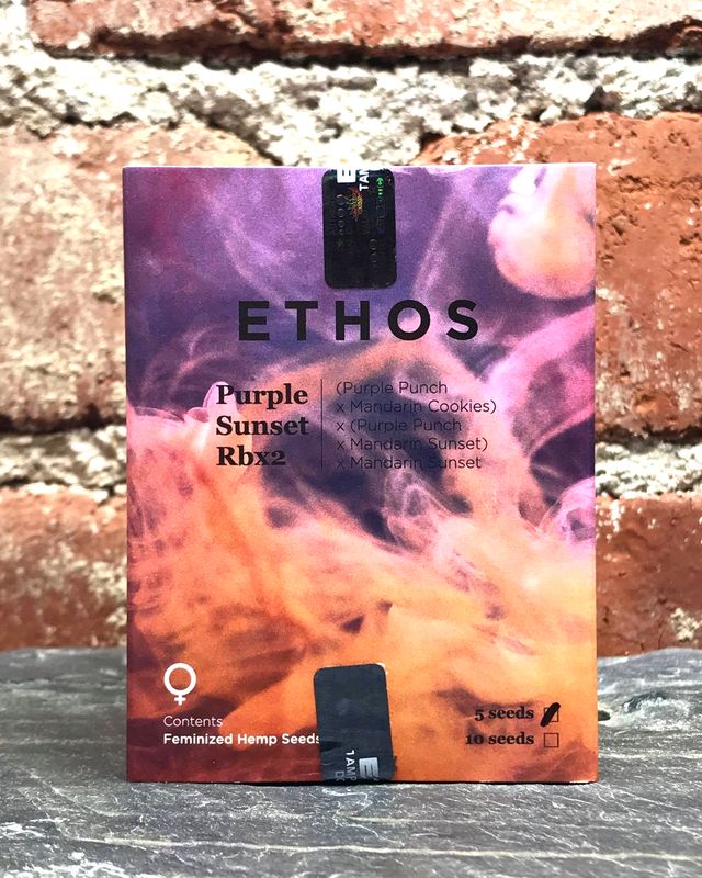 Purple Sunset RBX2 5Pack