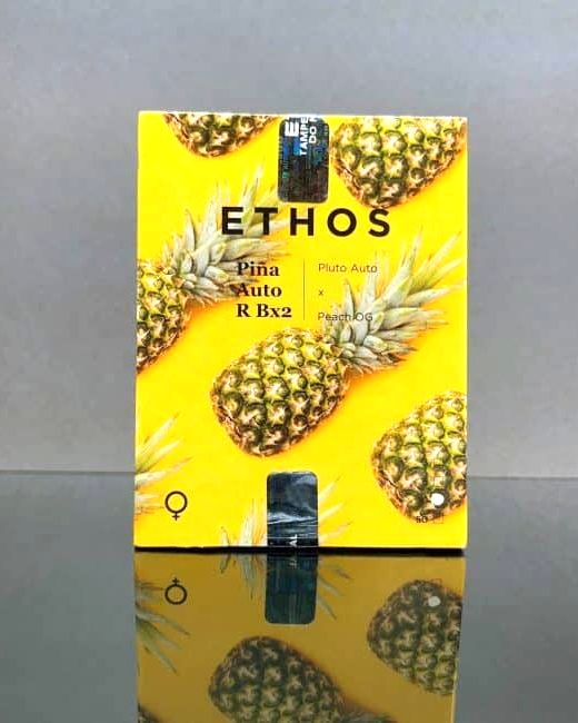 Pina AUTO RBX2 3Pack Pina AUTO RBX2 3Pack