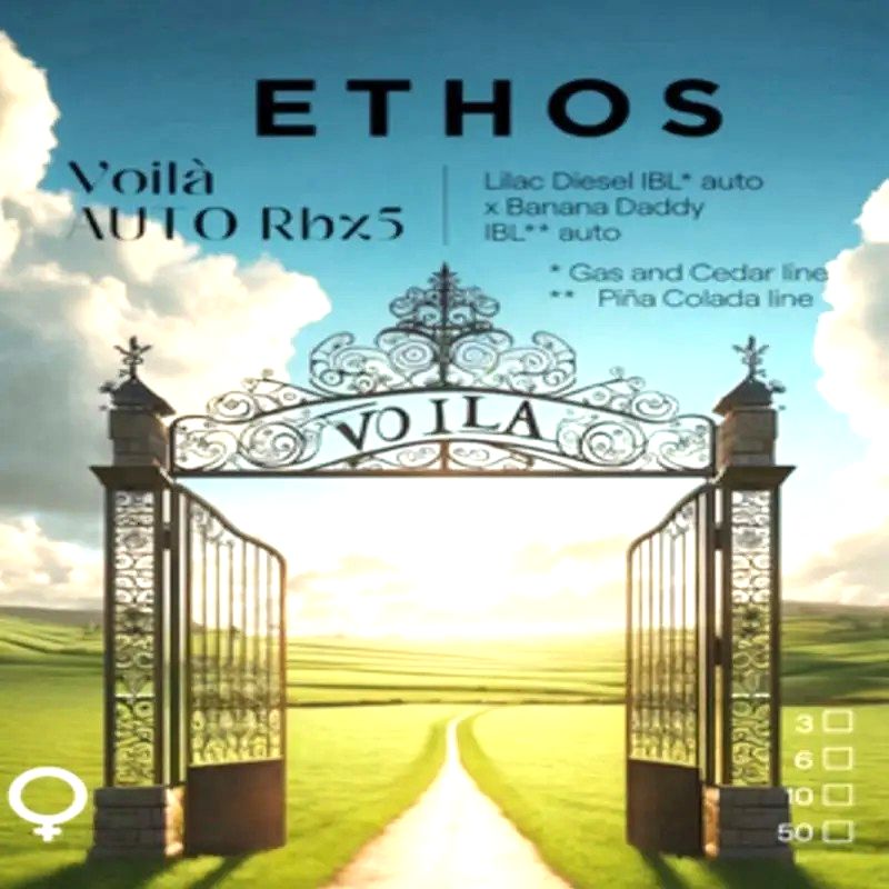 Volia Auto RBX5 3PACK Volia Auto RBX5 3PACK