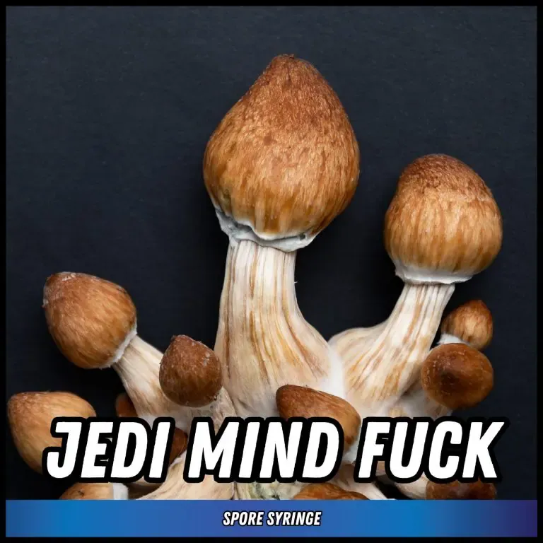 Jedi Mind Fuck