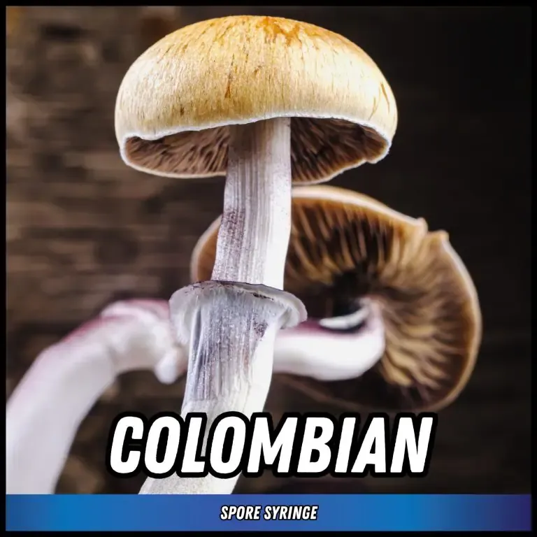 Colombian Spore Syringe (P. Cubensis)
