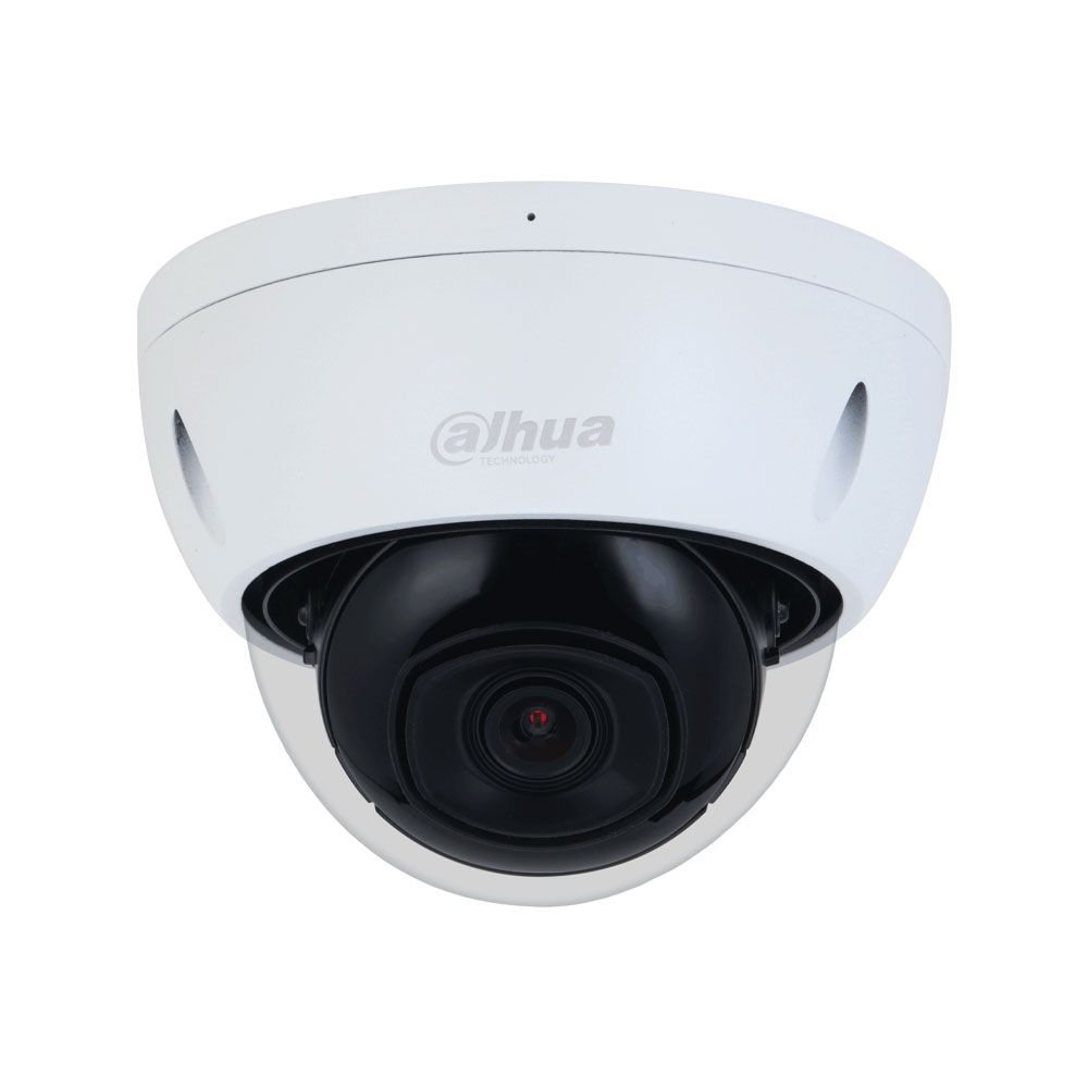 Cámara Domo IP WizSense 2MP de exterior Serie Profesional