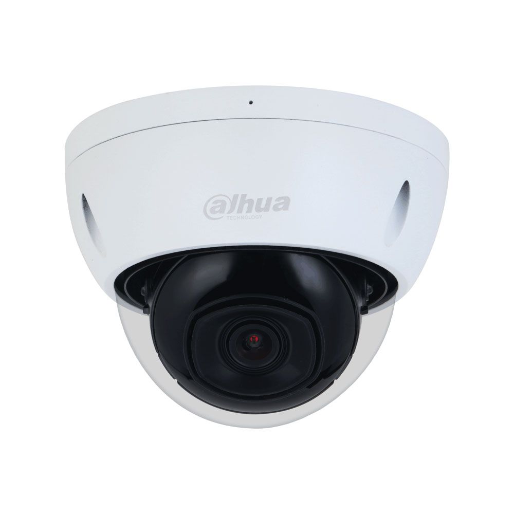 Cámara Domo IP WizSense 4MP de exterior Serie Profesional