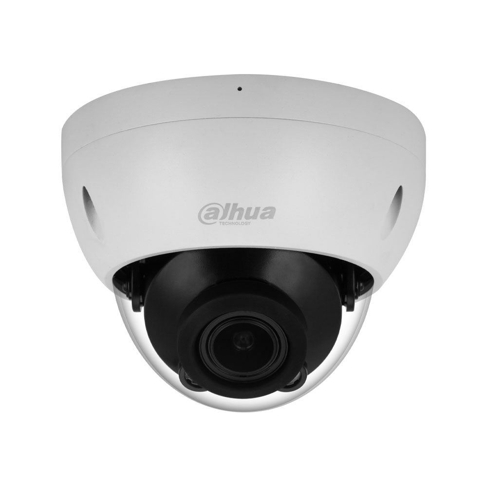 Cámara Domo IP WizSense 2MP de exterior Serie Profesional
