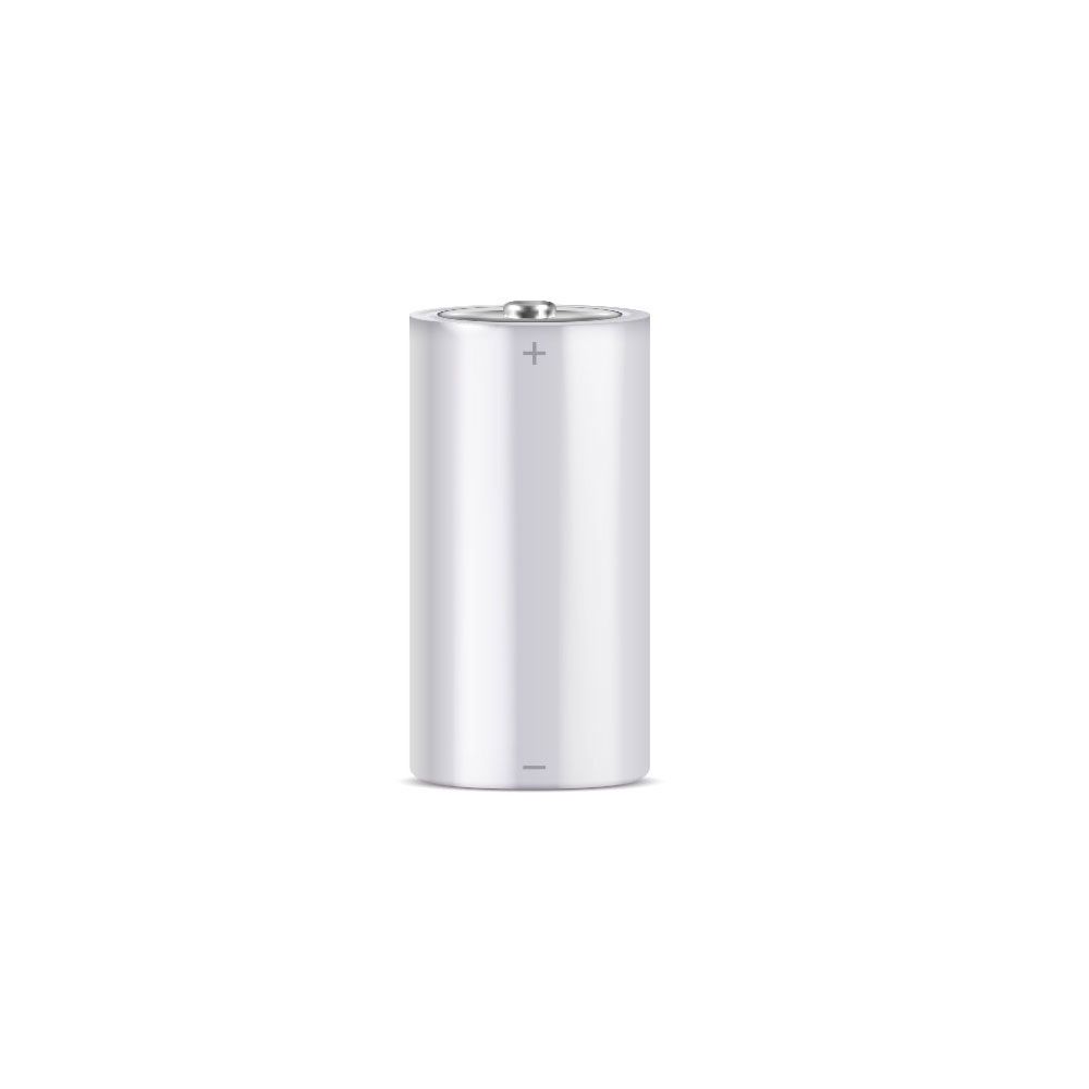 Pila alcalina profesional C 1,5V LR14