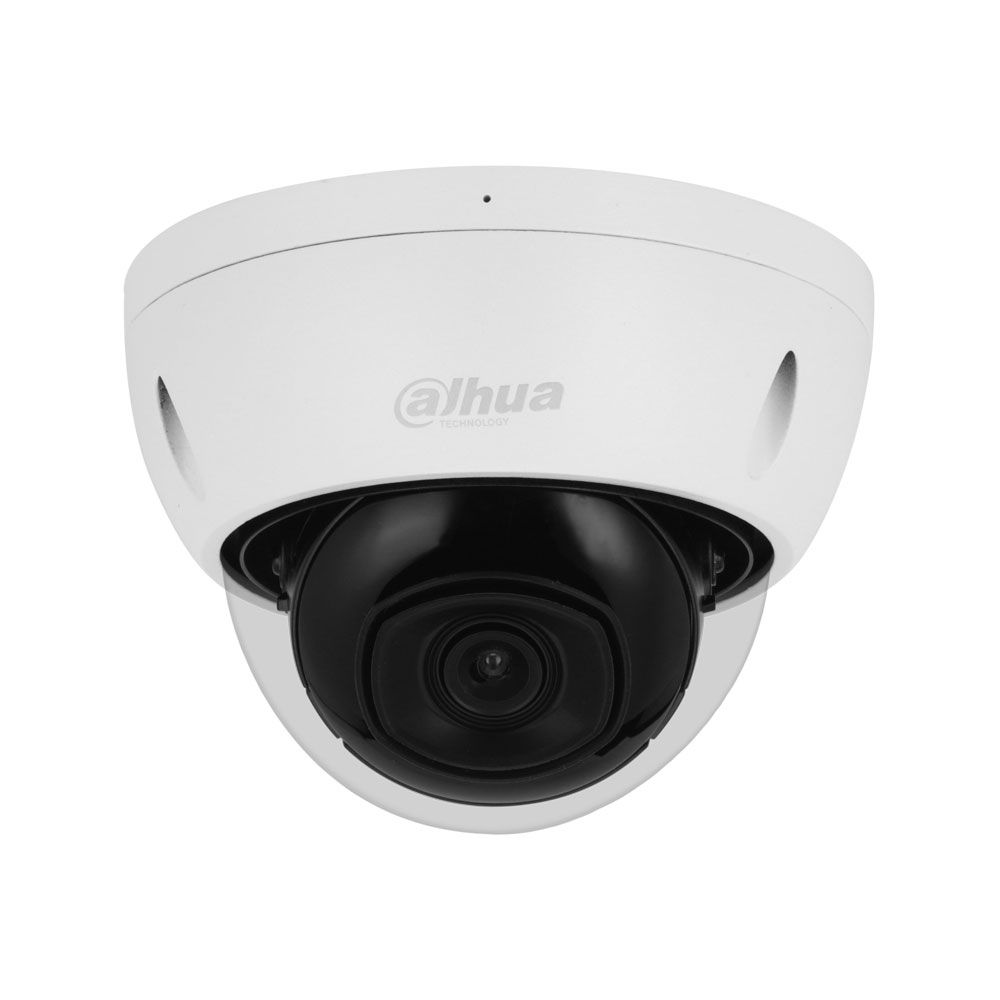 Cámara Domo IP WizSense 5MP de exterior Serie Profesional