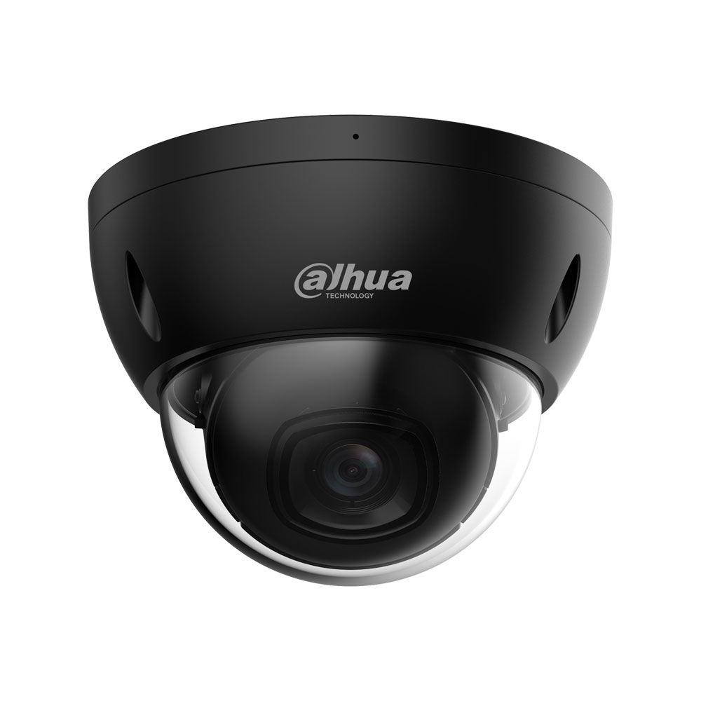 Cámara Domo IP WizSense 5MP de exterior Serie Profesional