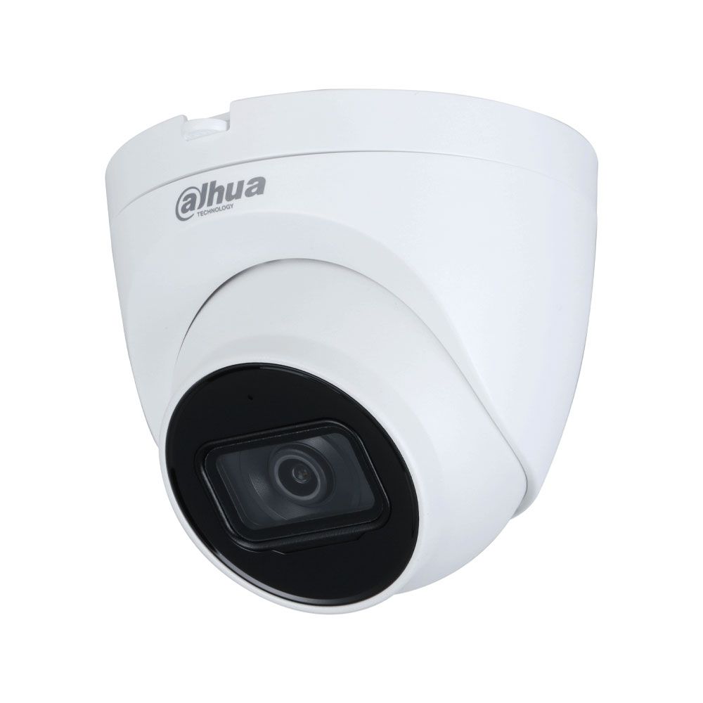 Cámara Domo IP WizSense 4MP de exterior Serie Profesional