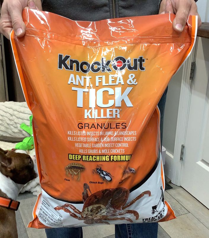 Pest Control