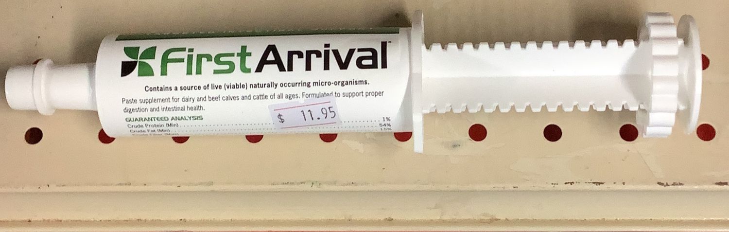 First Arrival