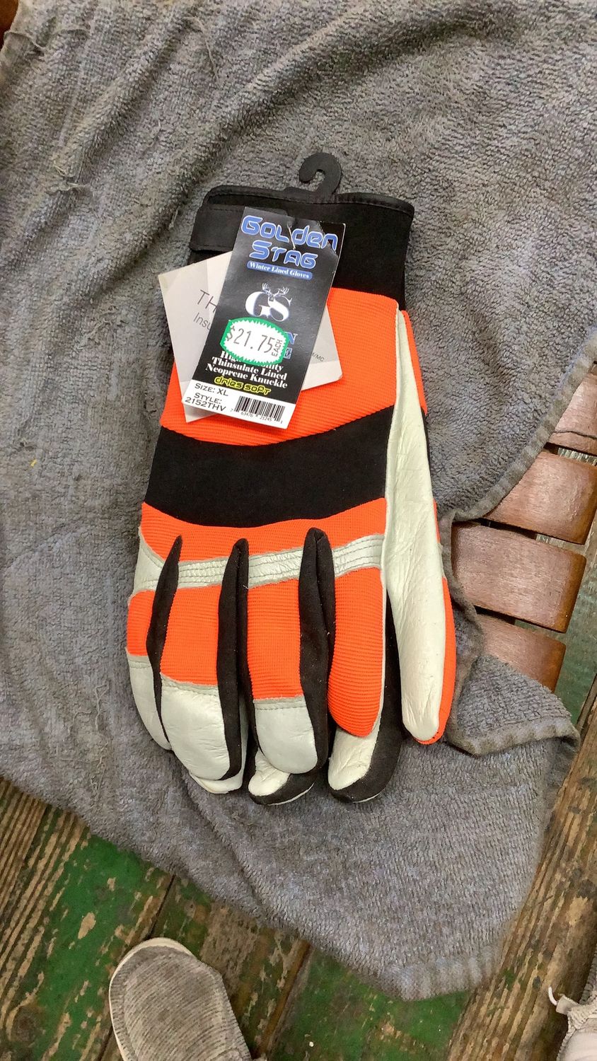 Golden Stag Gloves: Style 2152THV