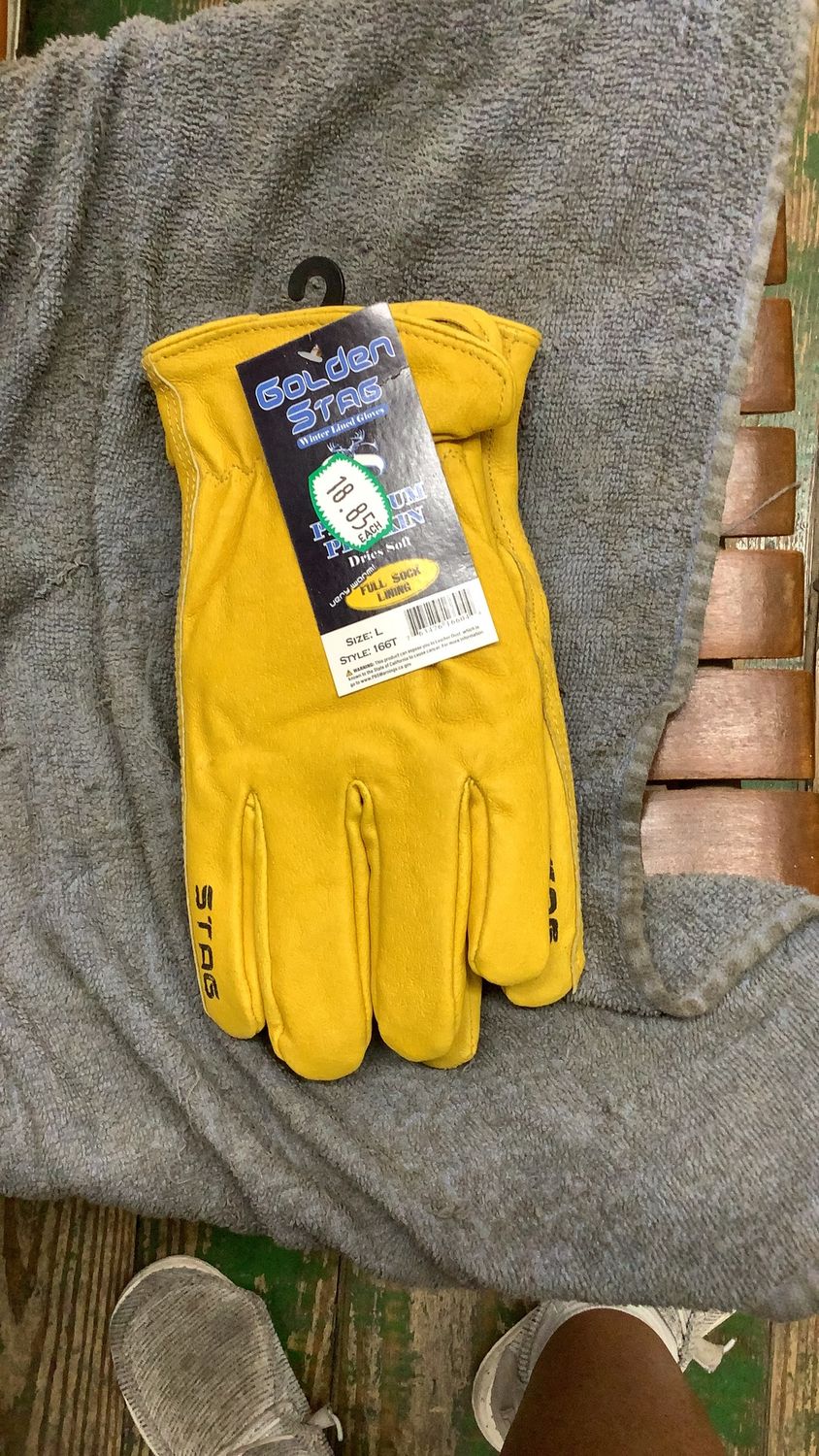 Golden Stag Gloves: Style 531