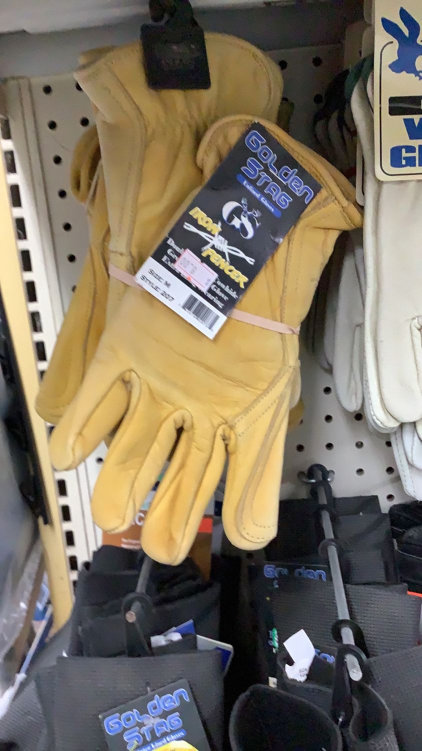 Golden Stag Gloves: Style 589