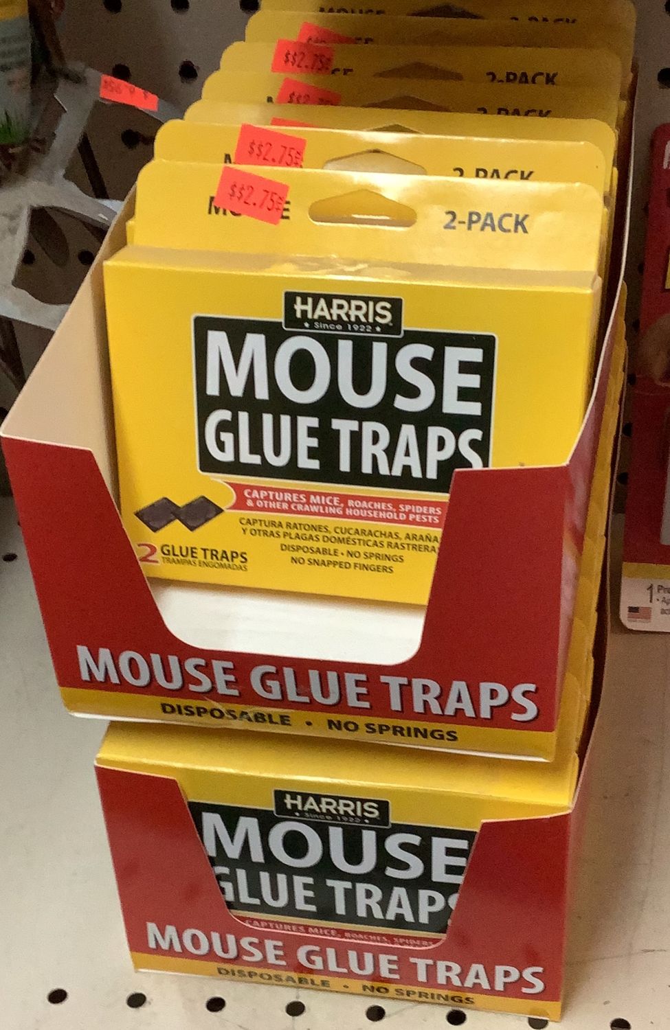 Harris Glue Traps
