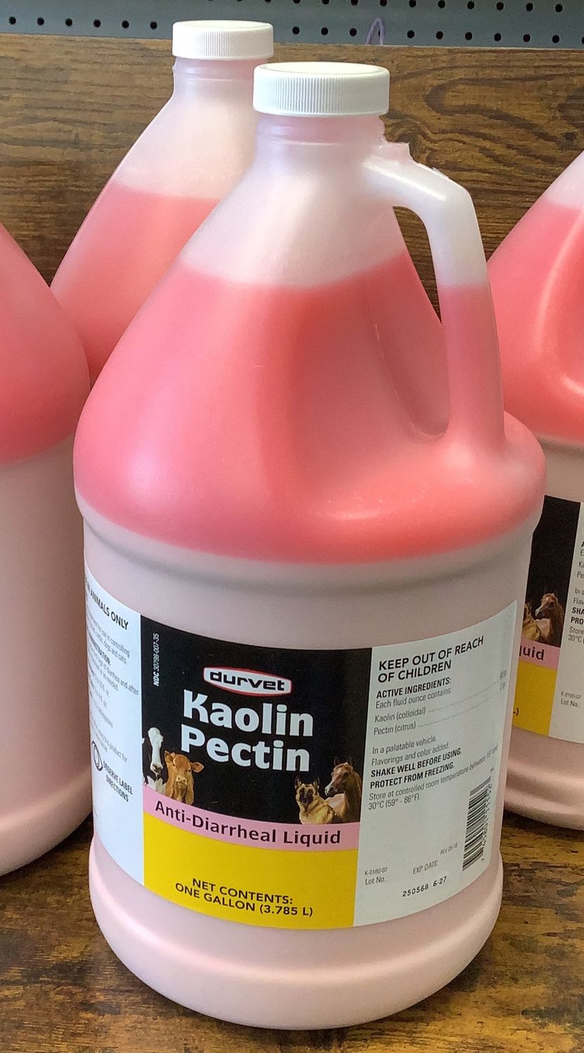Kaolin Pectin Anti-Diarrheal (1gal)