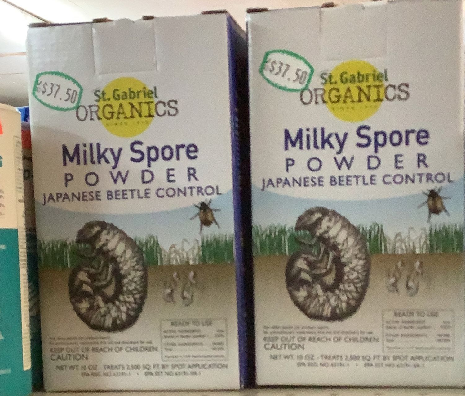 Milky Spore Powder