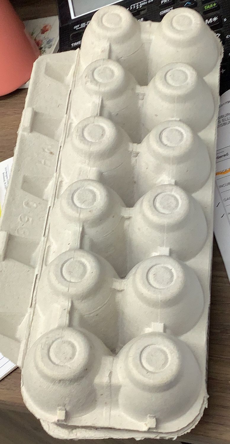 Paper Egg Carton