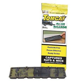 Tomcat Glue Board Rat (2pck)