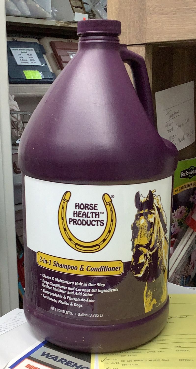 Shampoo &amp; Conditioner 2-In-1 (1gl)