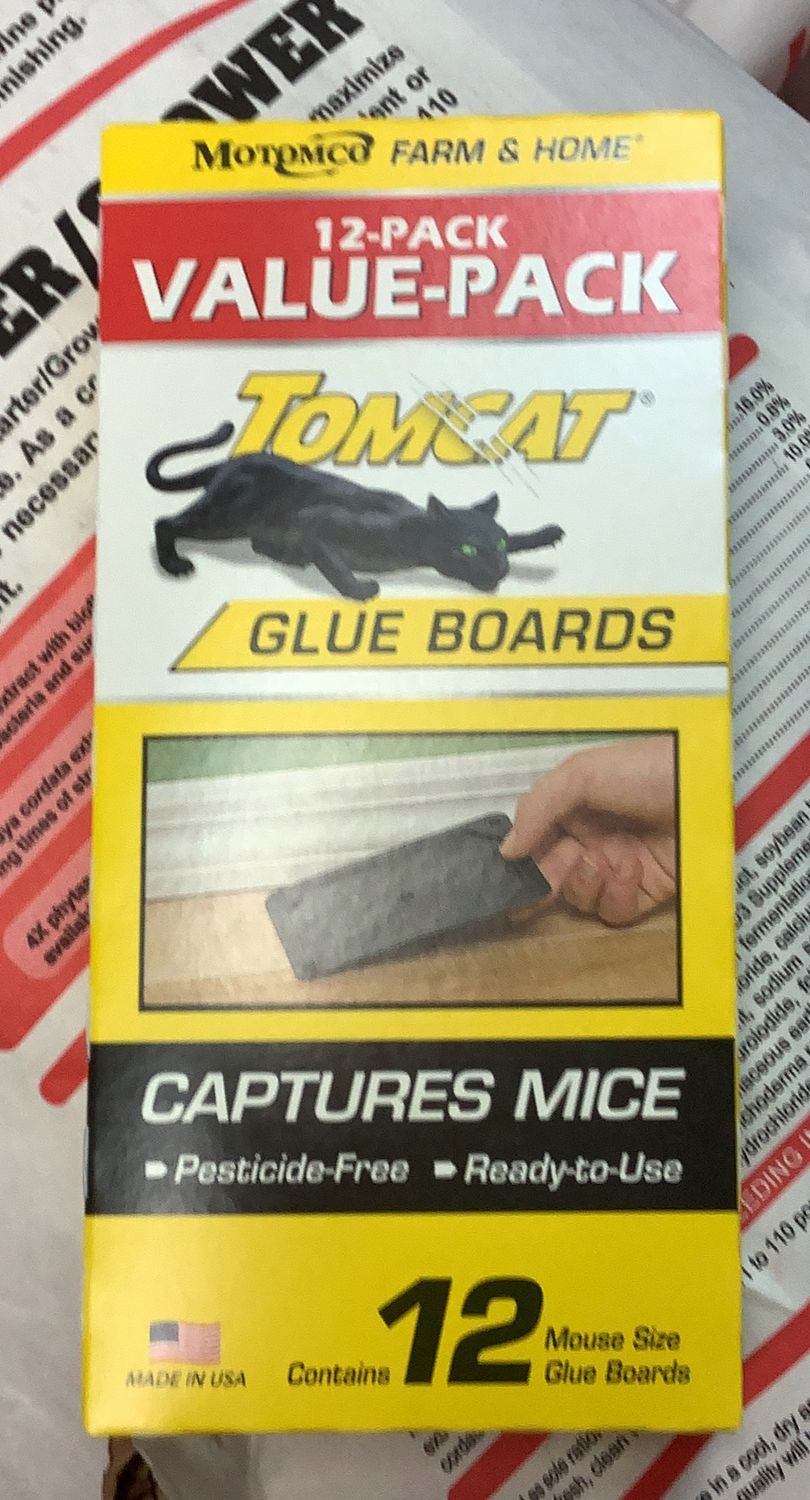 Tomcat Glue Trap (12 pck)