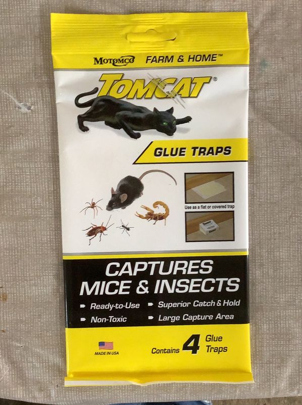 Rodents