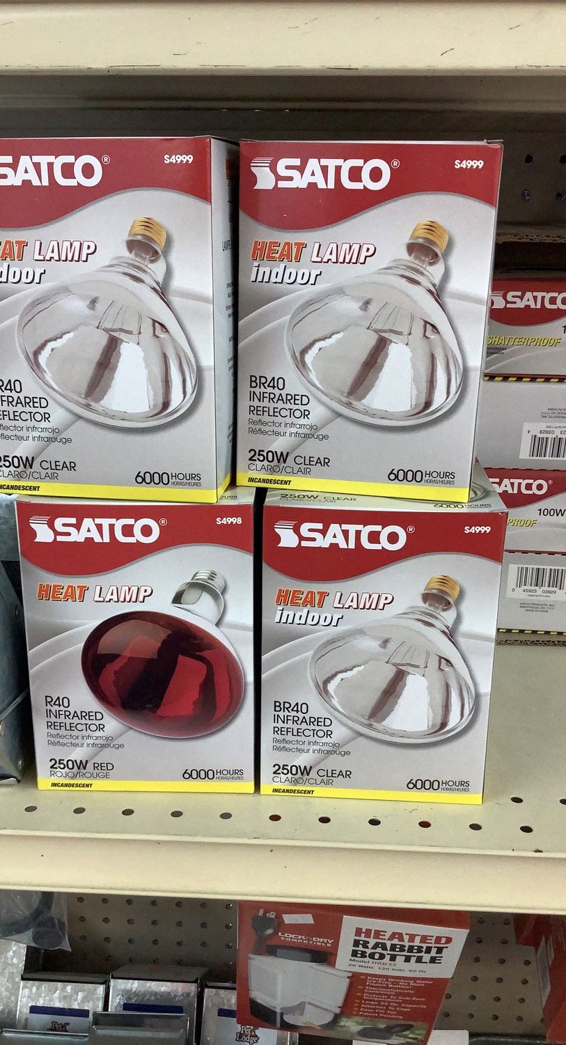 Heat Lamp Indoor (Clear)