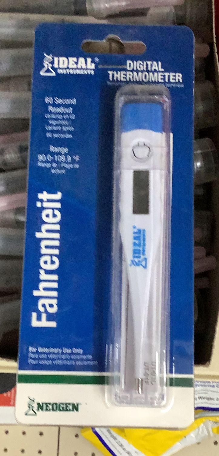 Ideal Digital Thermometer