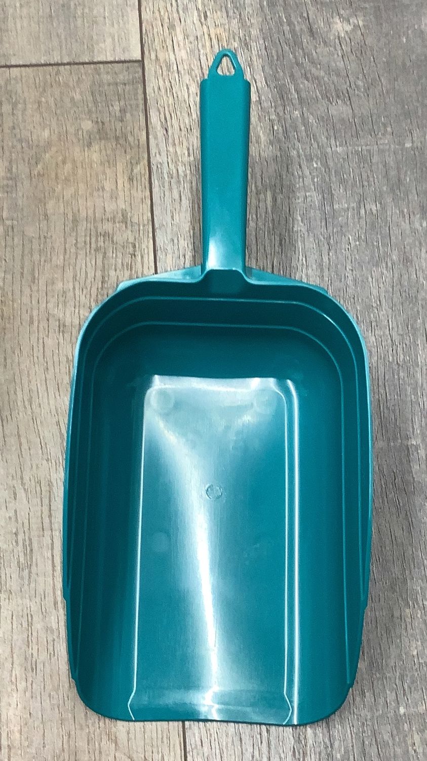 Little Giant Plastic Scoop (5pint) Multi Colors