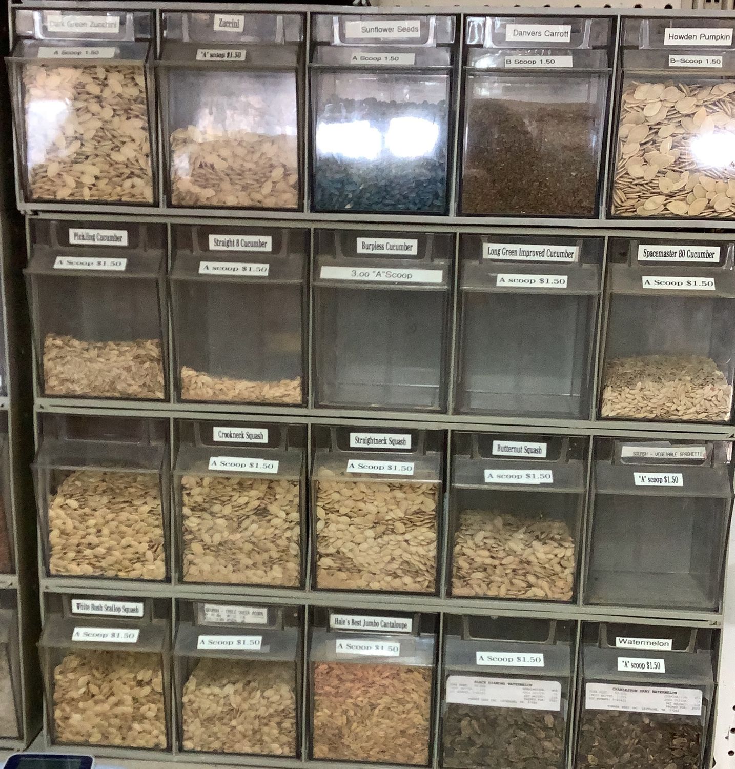 Seeds