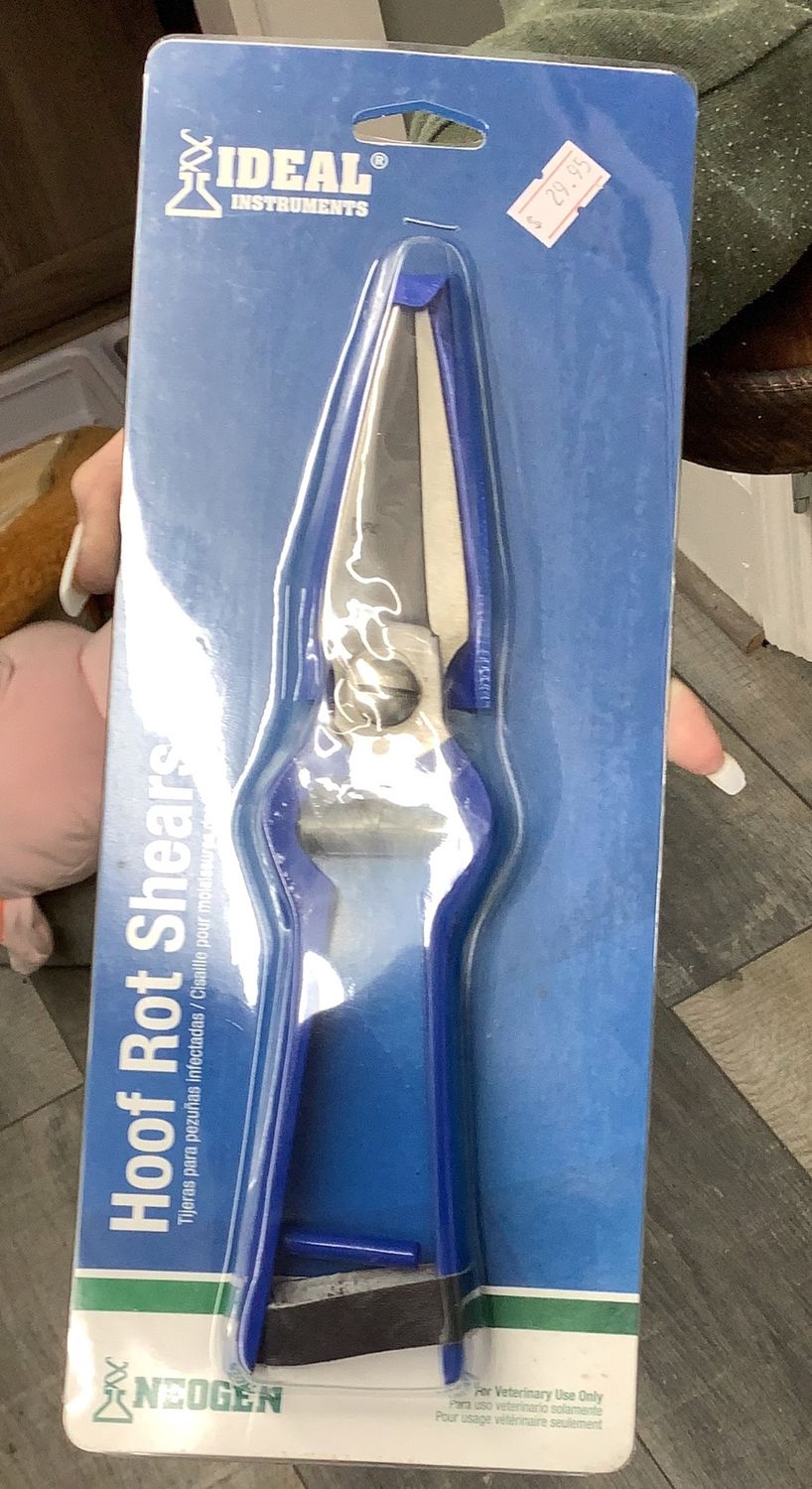 Shear Foot Rot (9801)