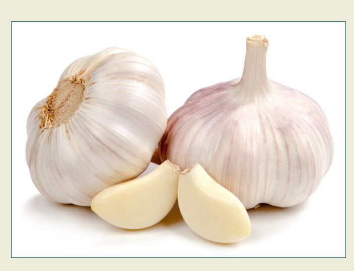 Garlic PrePacks (3 per pk)