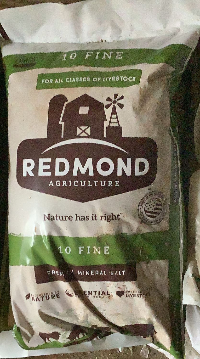 Redmond Garlic with Premium Mineral Salt (10 Fine)