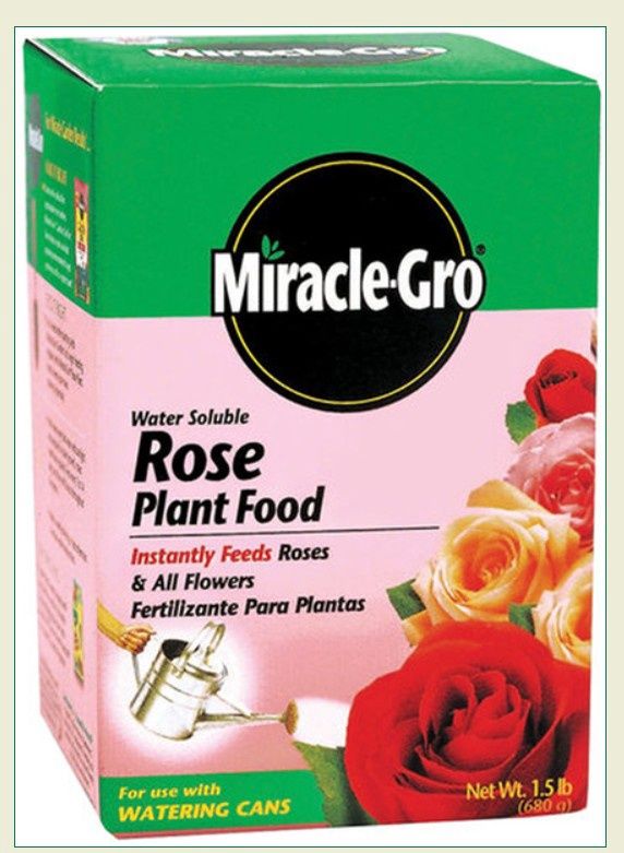 Miracle-Gro Water Soluble Rose Plant Food (1.5lbs)