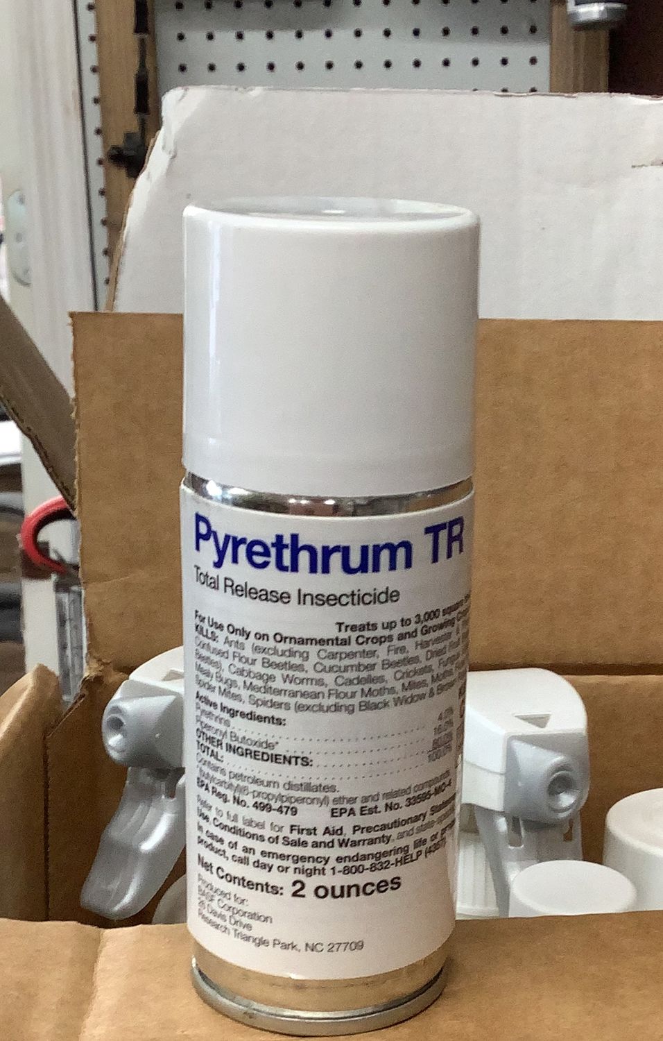 Pyrethrum TR (2oz)