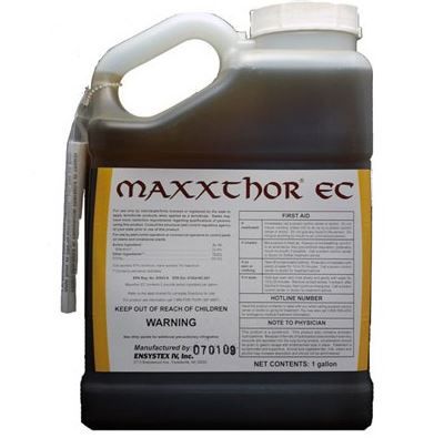 MAXXTHOR EC (16oz) (Outdoor Use)