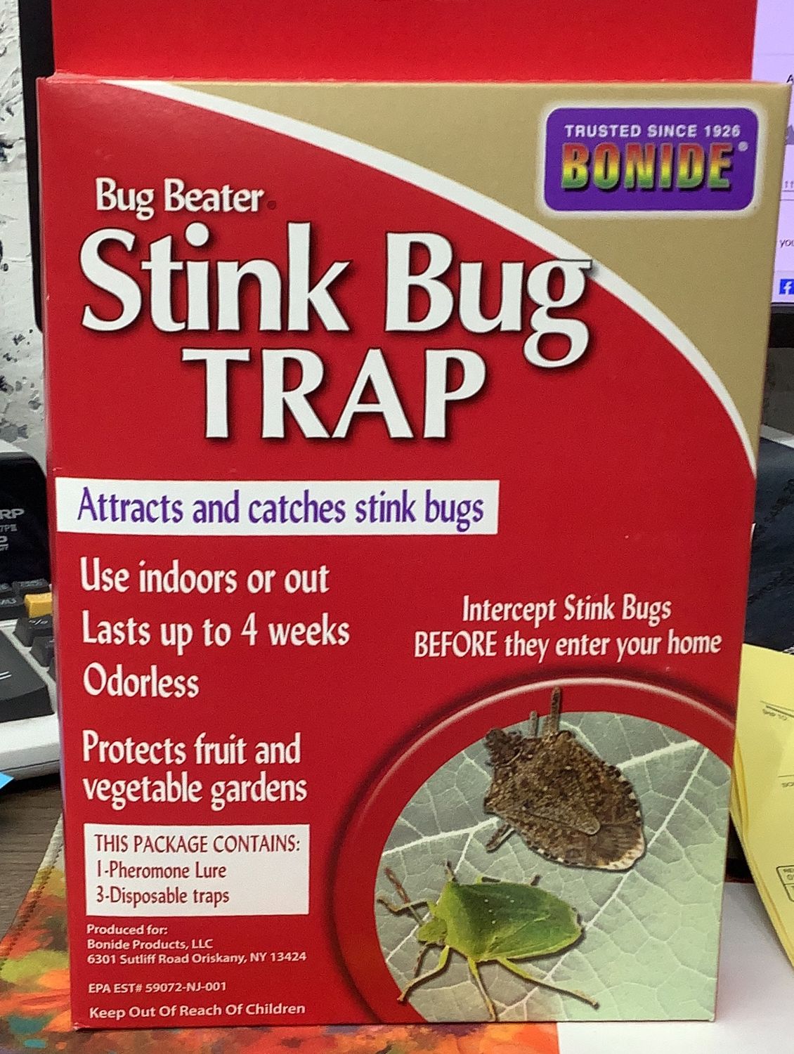Stink Bug Trap