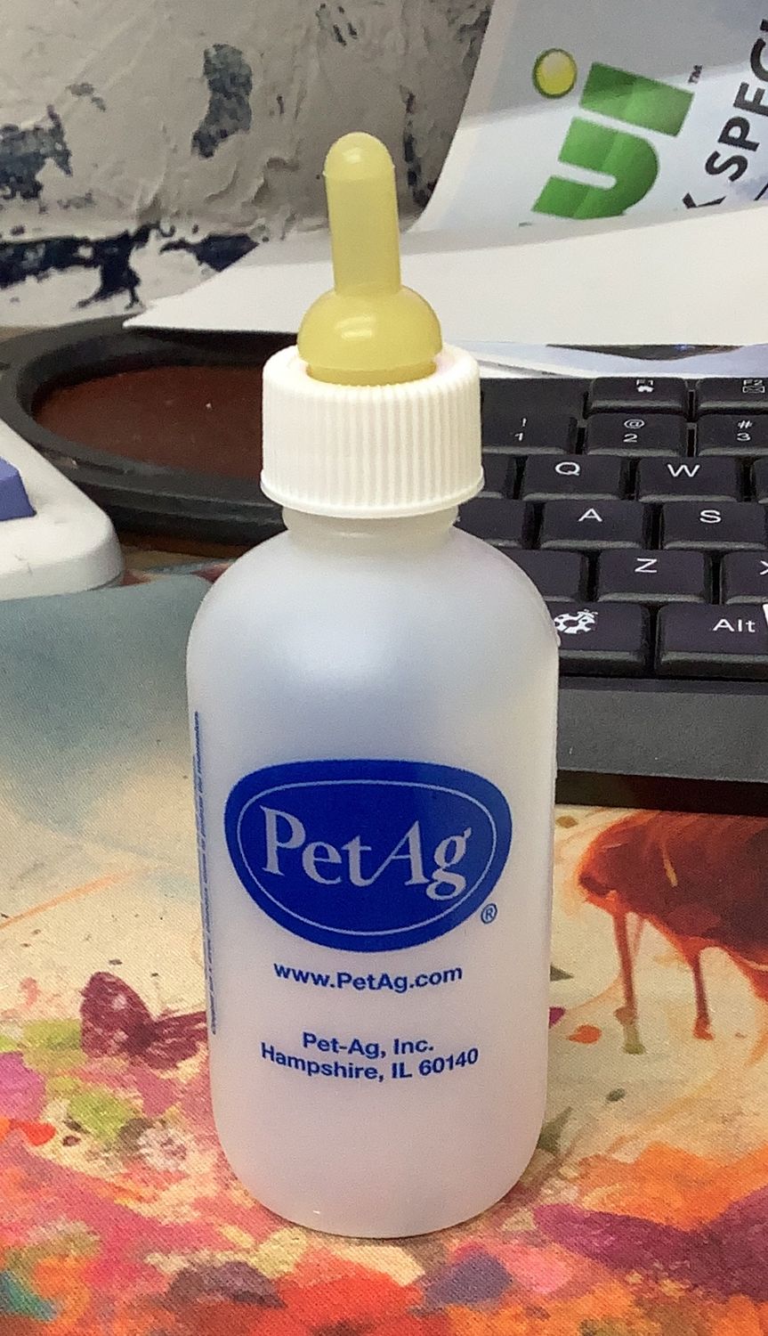 Pet Ag Nursing Bottle ONLY (2oz Multi Species)
