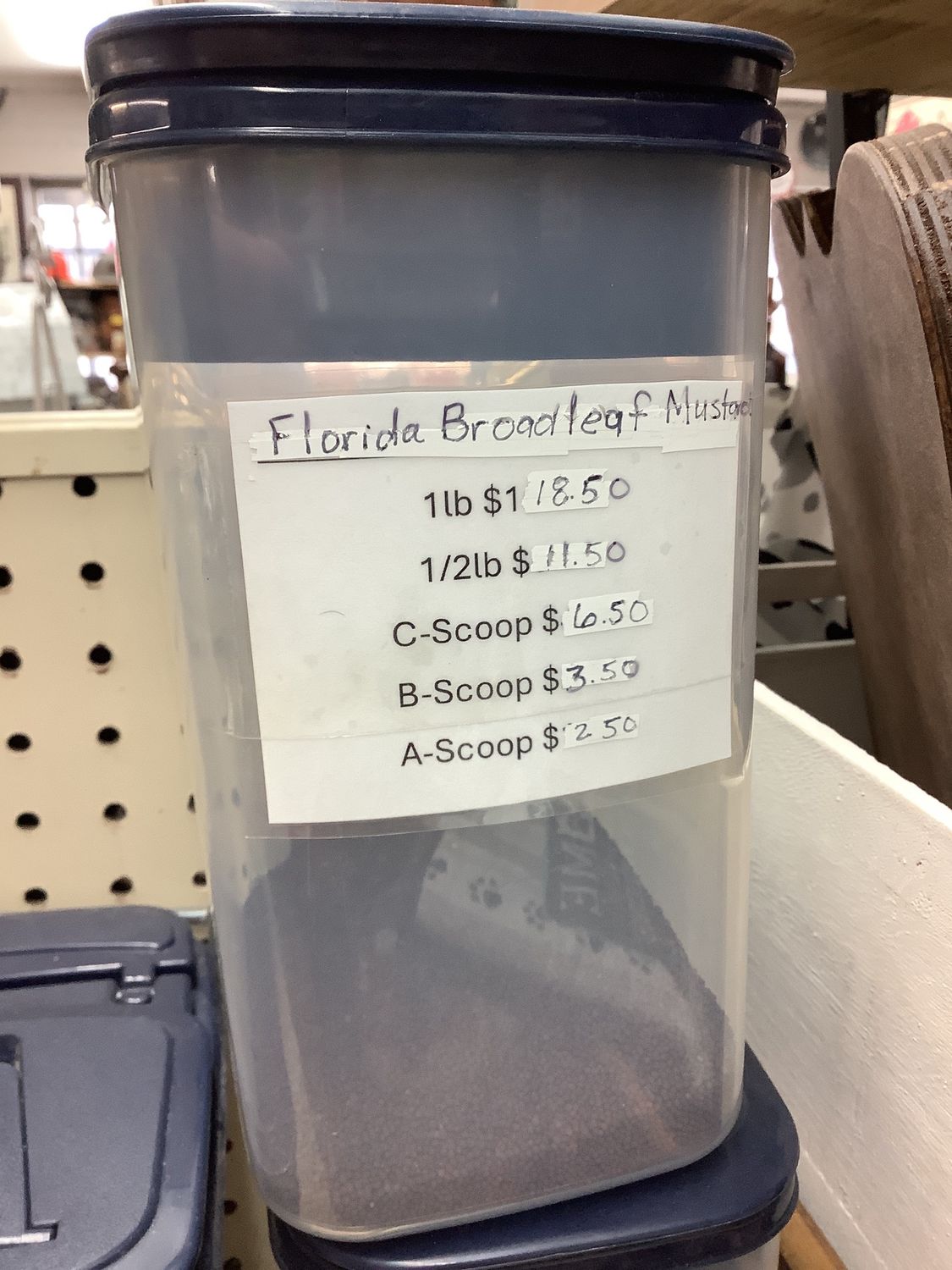 FL Broadleaf Mustard Seeds