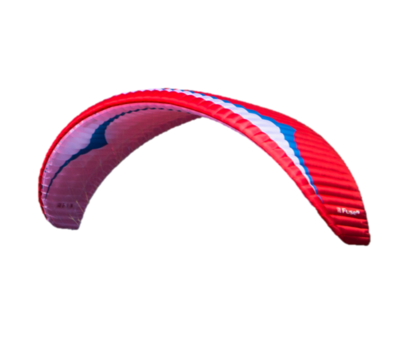 Paragliders