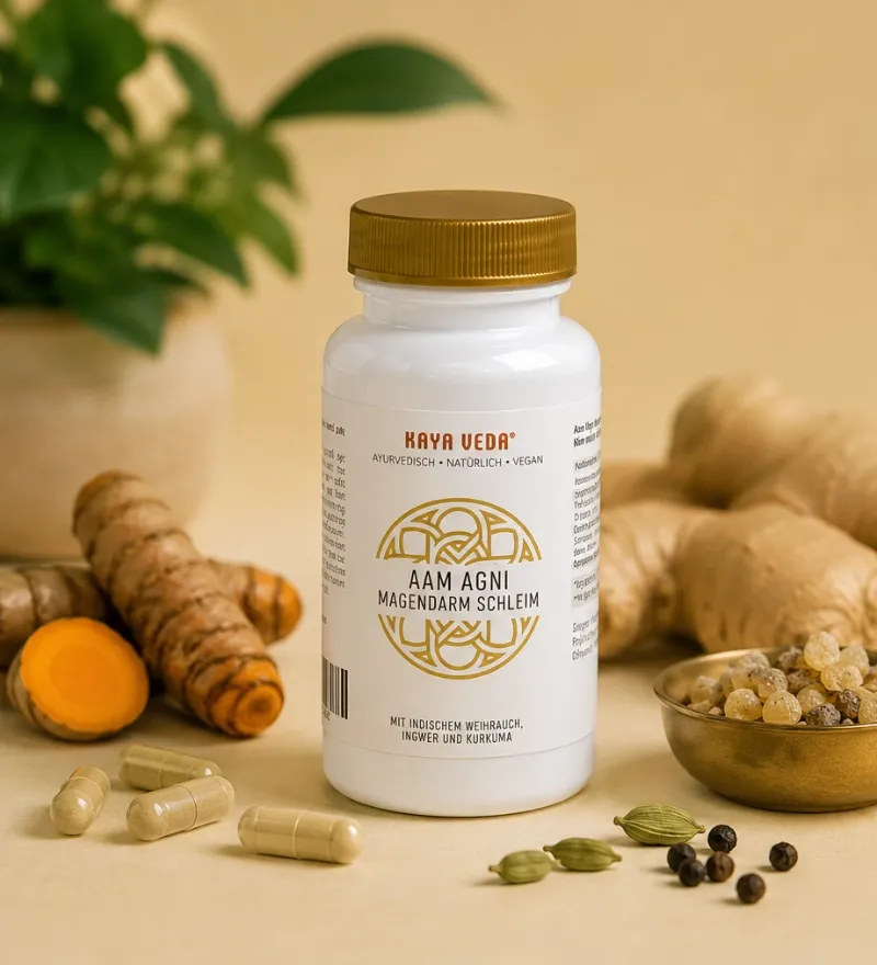 KAYA VEDA® Aam Agni | Ayurveda Kapseln für Magen & Darm Balance KAYA VEDA® Aam Agni | Ayurveda Kapseln für Magen & Darm Balance